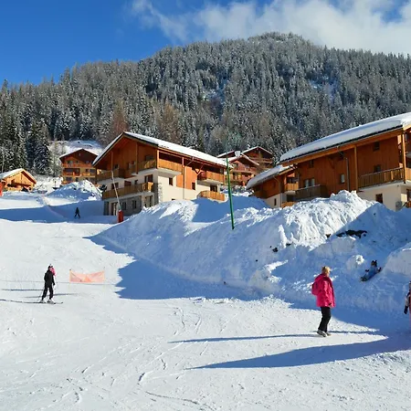 Comfortable In Ski-slopes Valfrejus